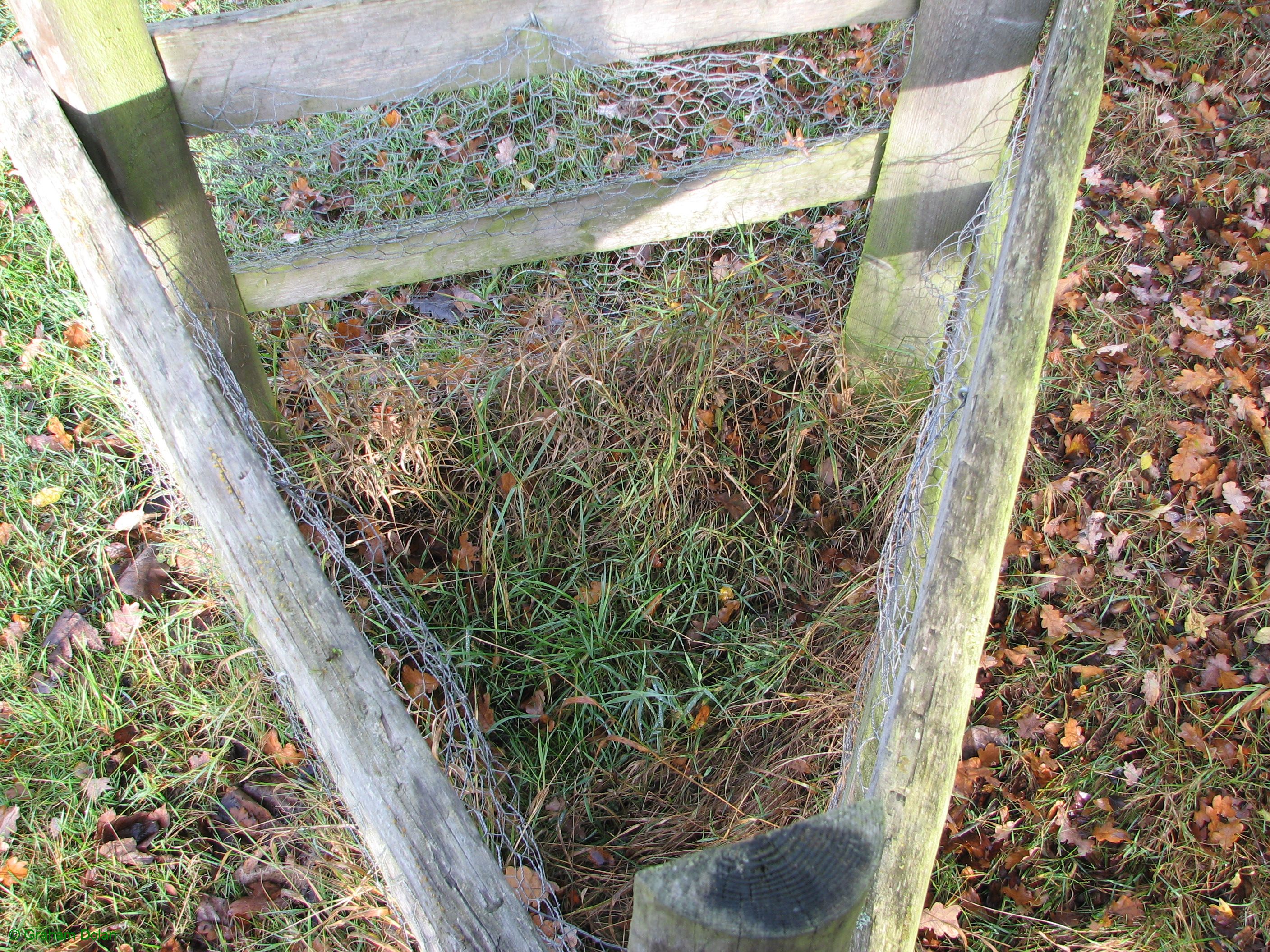 Greenwich Meridian Marker; England; Essex; Gilwell Park